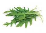 Rucola Rauke Bund
